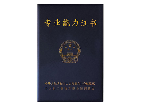 专业能力证书